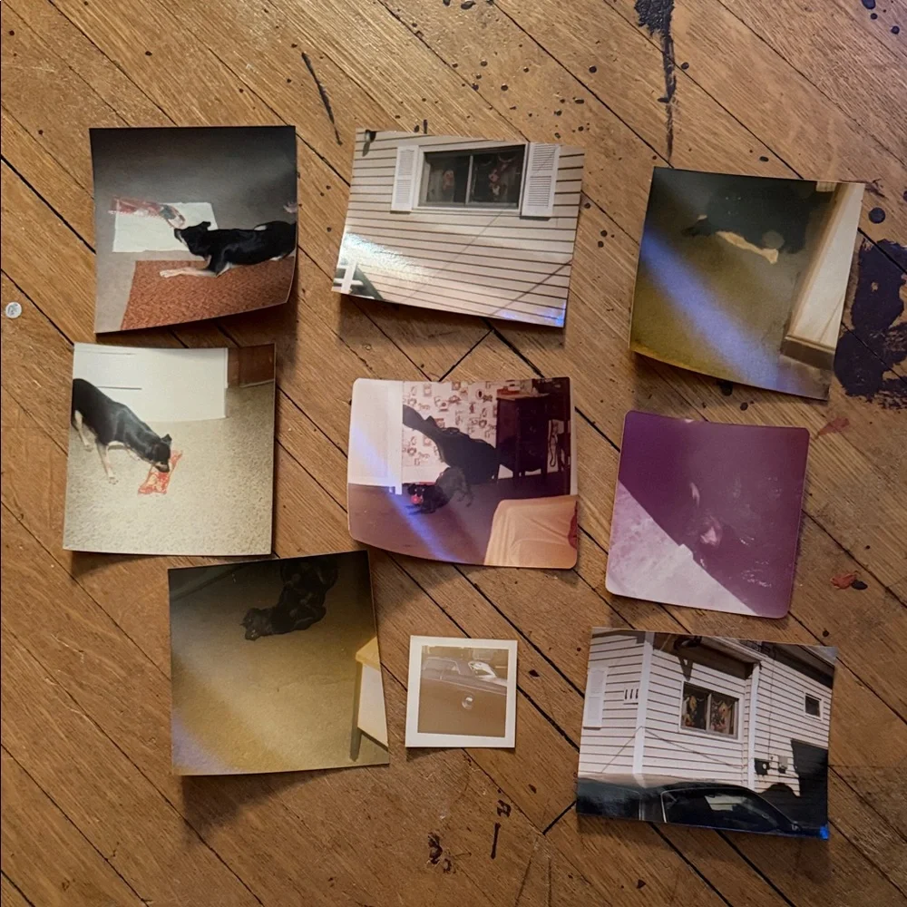 Vintage Photo Collection